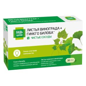 Будь Здоров! Комплекс экстрактов листьев красного винограда и гинкго билоба капсулы массой 300мг №30